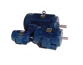 高速三相异步电动机的轴承是如何设计的？