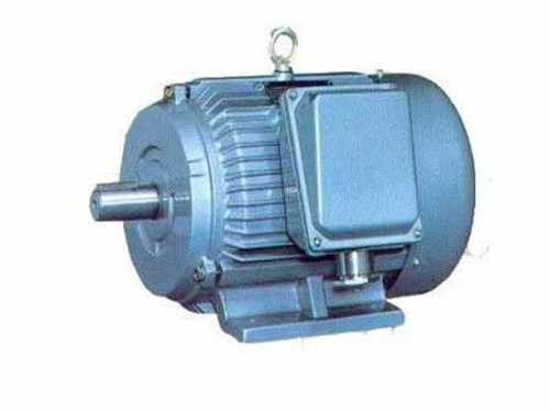 Y-H船用三相异步电动机