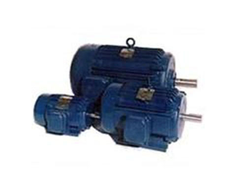 NEMA超高效三相异步电动机