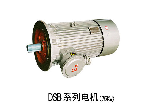 DSB防爆电机