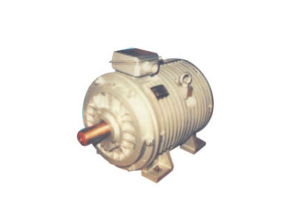 YGP系列辊道用变频调速三相异步电动机