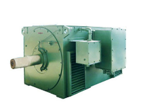 Y系列高压三相异步电动机(10KV)