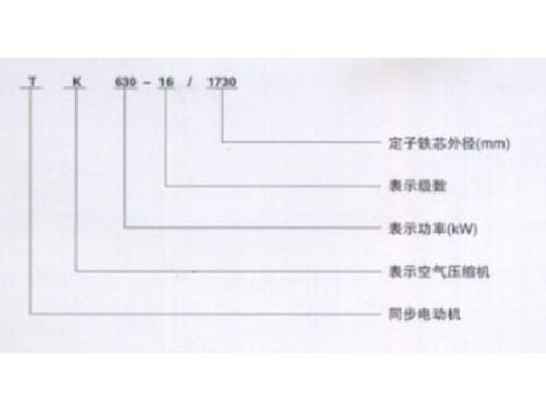 T系列空气压缩机用大型三相同步电动机