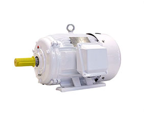 NEMA D设计三相异步电动机