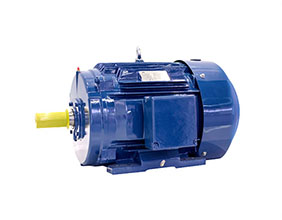 NEPM超高效率三相异步电动机
